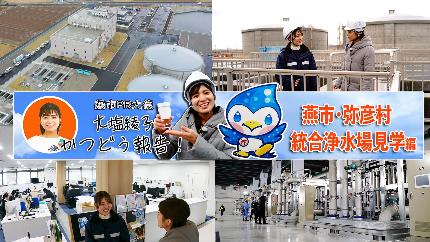 動画のサムネイル